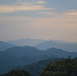 Meet your Posher, Clara